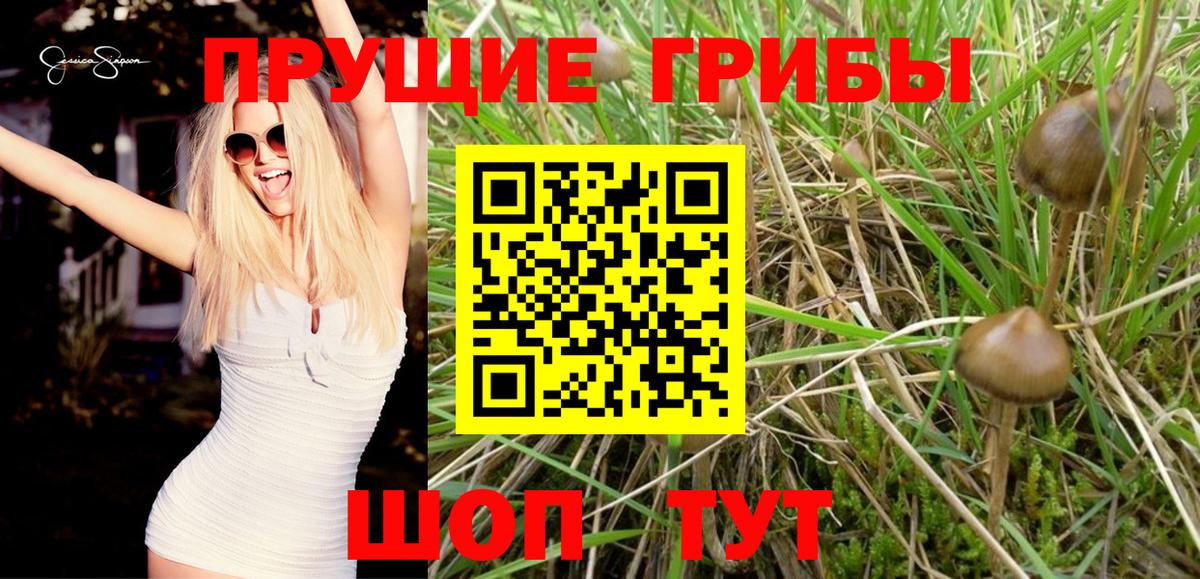 Дзержинский  Галлюциногенные грибы ЛСД  Галлюциногенные грибы Magic Shrooms  Вход с VPN 